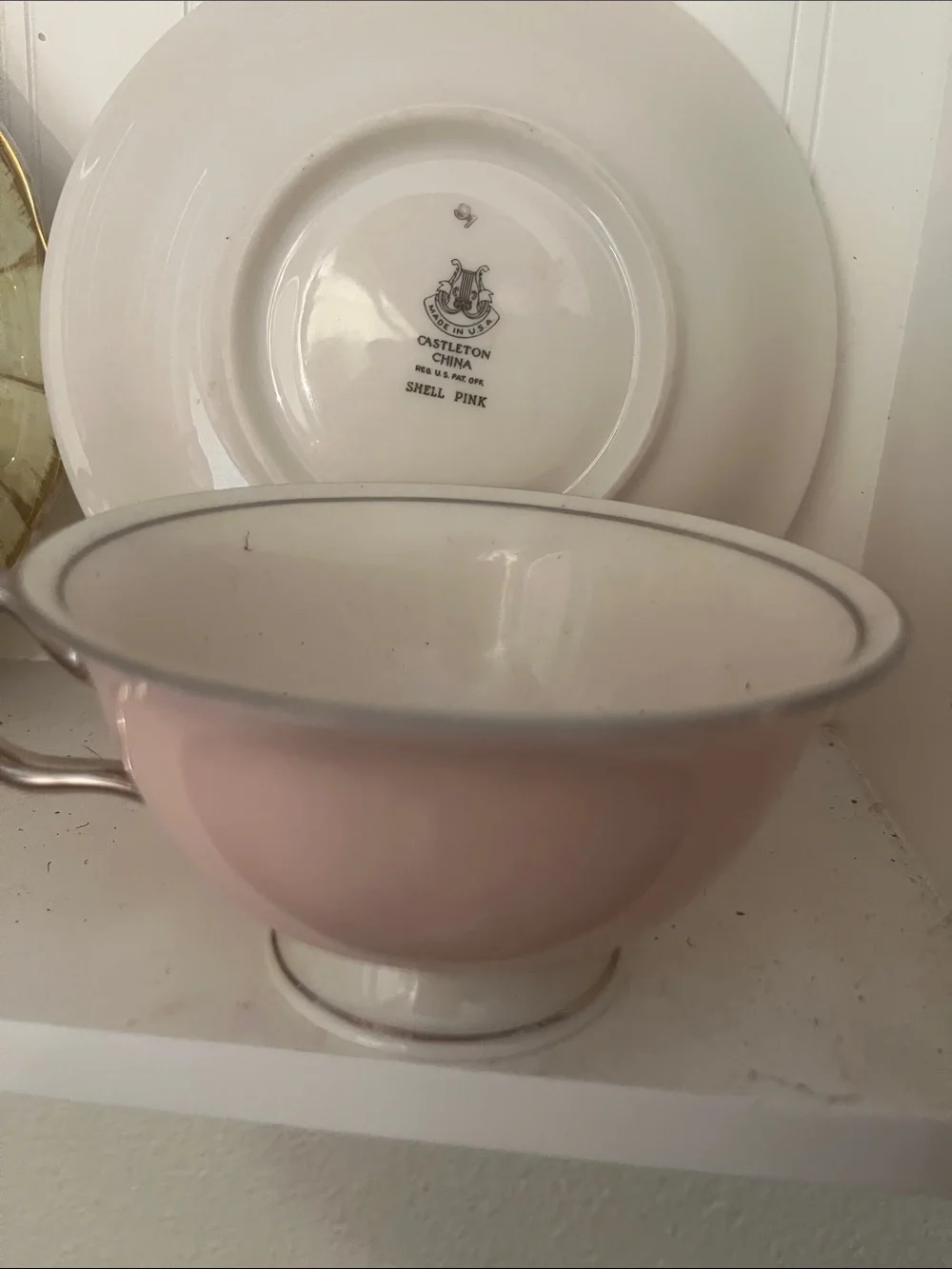 Pink Porcelain Tea Cup and Saucer with Silver Trim